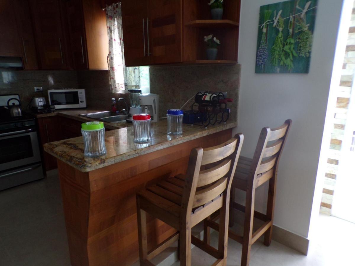 Apartament Luxury In The Caribbean Sosúa Zewnętrze zdjęcie